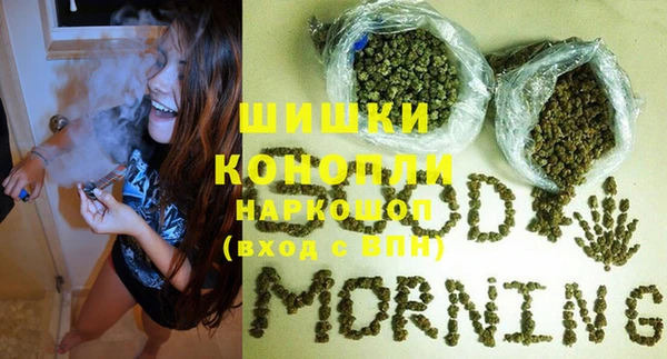 гидра Кодинск