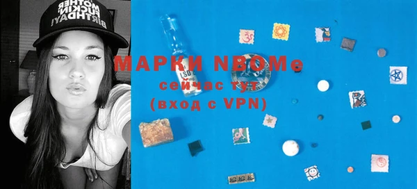 прущие грибы Костерёво