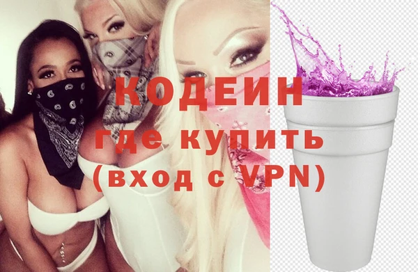 гидра Кодинск