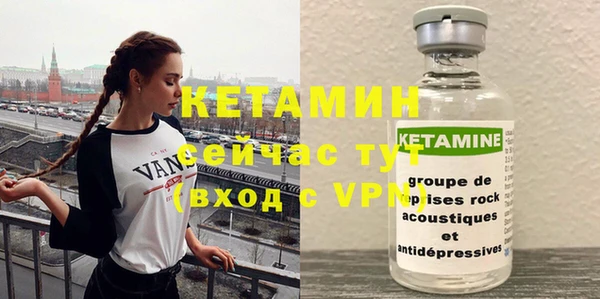 гидра Кодинск