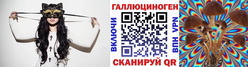 Купить  Уфа  Галлюциногенные грибы Psilocybe 